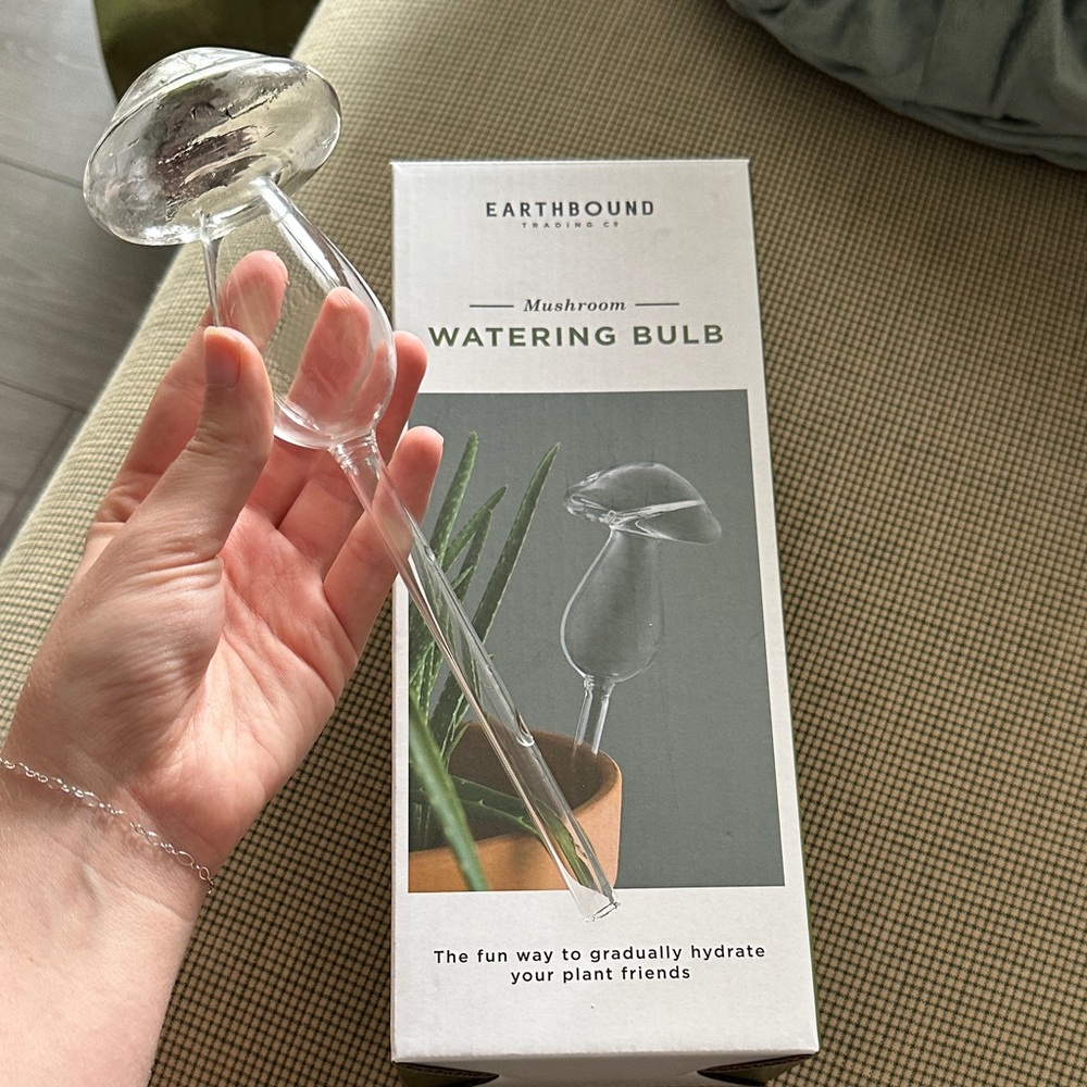 EARTHBOUND Clear Glass Mushroom Watering Bulb